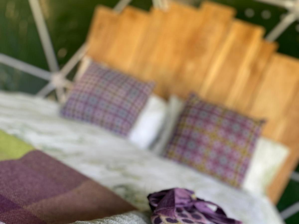 Geodesic Dome Glamping 호텔 란니들로스 외부 사진