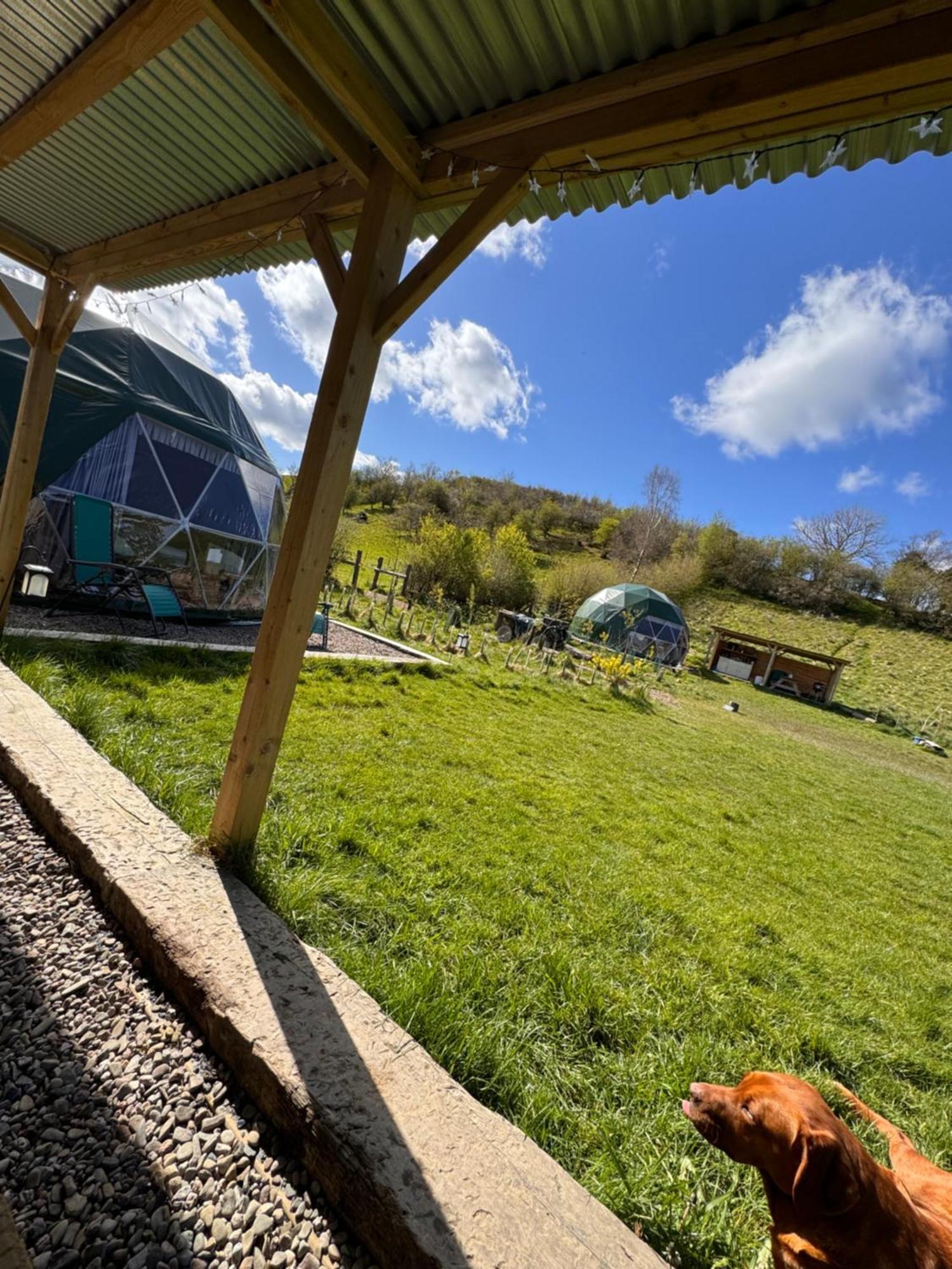 Geodesic Dome Glamping 호텔 란니들로스 외부 사진